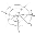 Spider Trap
